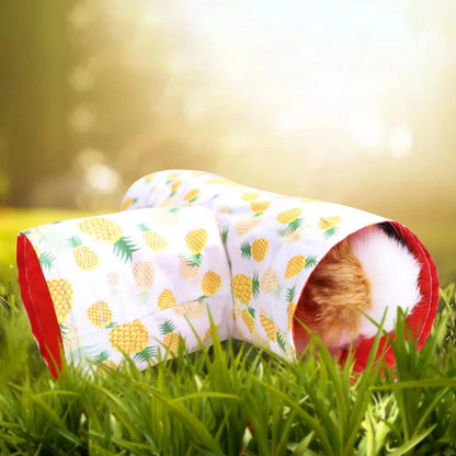 Tunnel  da gioco per piccoli animali