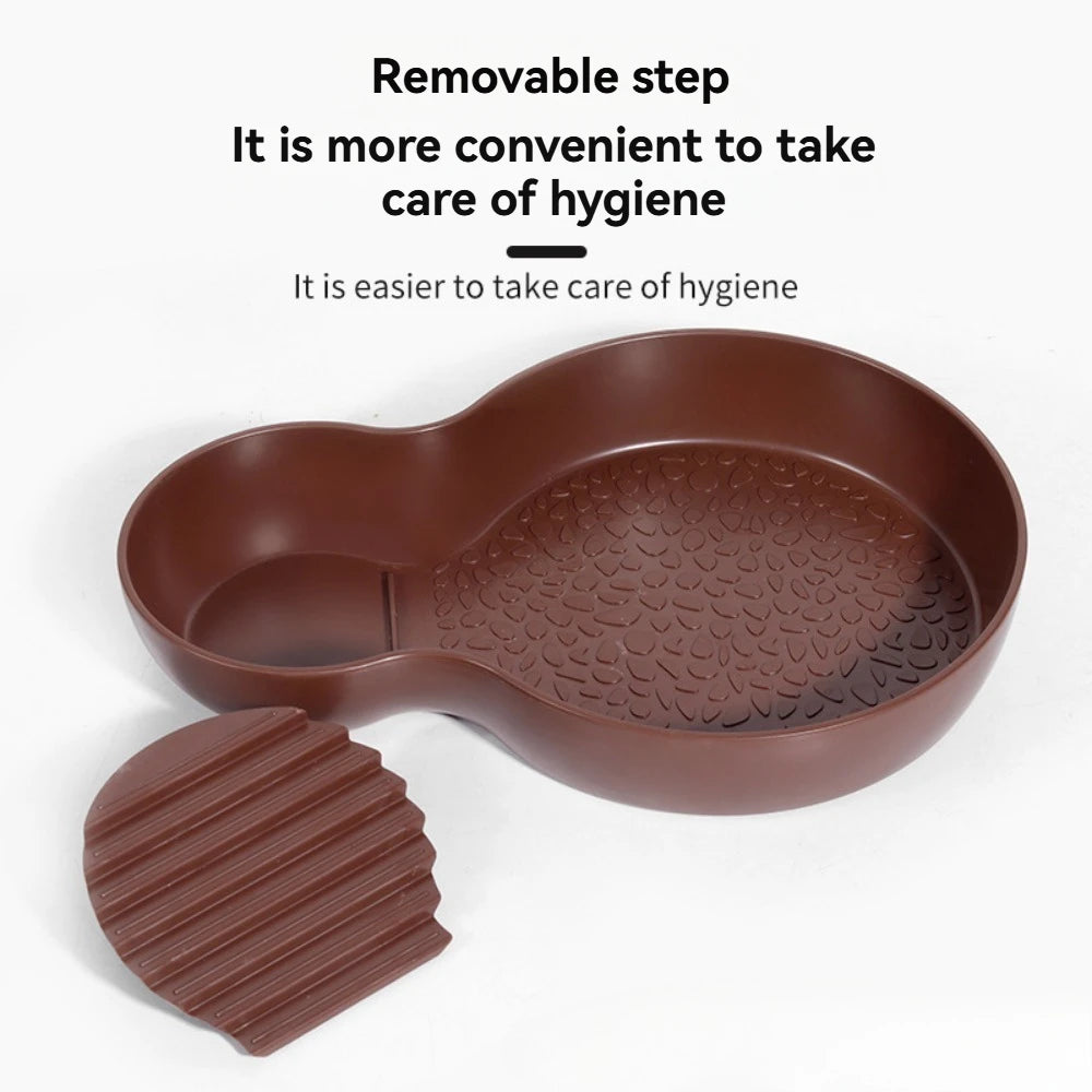 Pond con feeder per tartarughe d'acqua