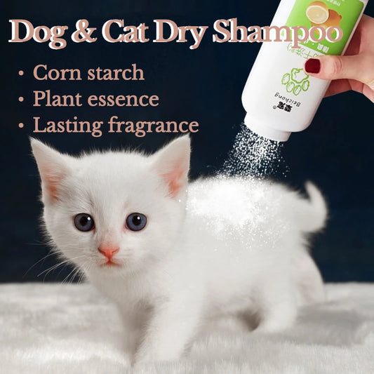 Shampoo secco in polvere