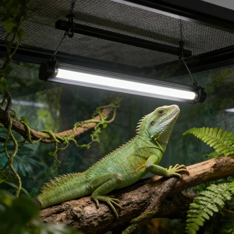 Kit Professionale con Lampada UVB per Rettili e Supporto