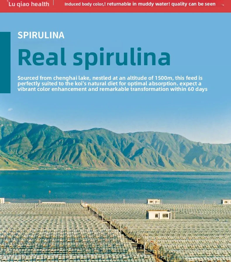 Cibo per carpe Koi, pesci rossi e pesci ornamentali