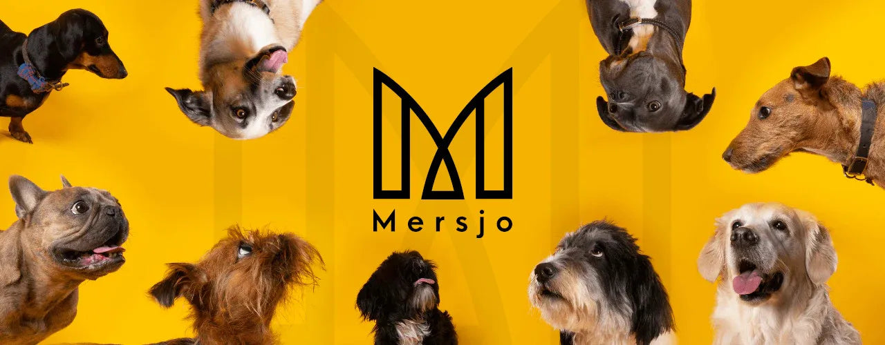 Hundeleckerbissen-Kabanosy mit Ente & Reis Mersjo 500g PREMIUM MERSJO schmackhaft 83% Fleisch natürlich nahrhaft getreidefrei