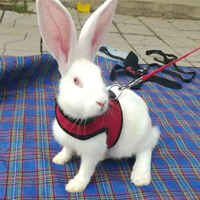 Haustiergeschirre für Kleintierzubehör mit Netzbrustgurt S/M/L 4 für Kaninchen, Hamster, Frettchen, Meerschweinchen