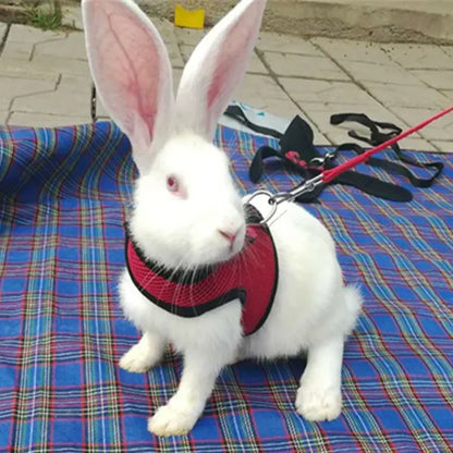 Haustiergeschirre für Kleintierzubehör mit Netzbrustgurt S/M/L 4 für Kaninchen, Hamster, Frettchen, Meerschweinchen