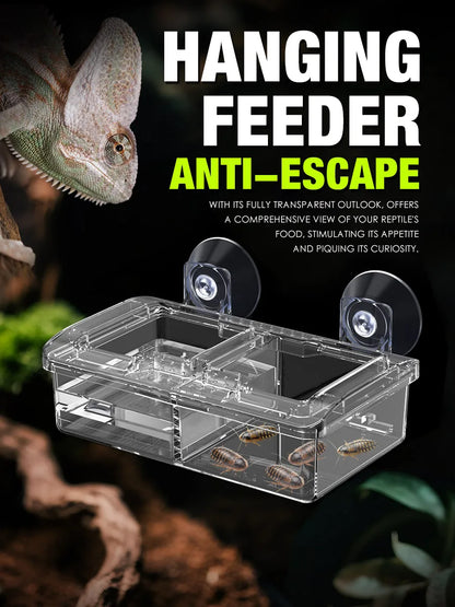 Reptilien-Wasserfutternapf Wurmfutternapf Keramik-Haustiernapf Ausbruchsichere Mini-Reptilien-Wurmschale für Bartagamen Eidechsen