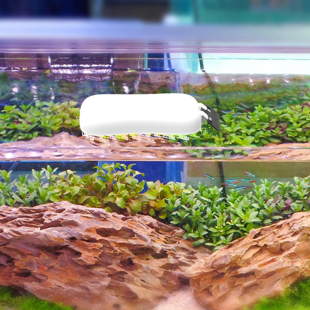 Detergente + raschietto per pulizia vetri acquario