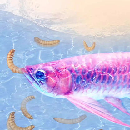 BESSN Premium - Arowana&Cichlid Fish Food