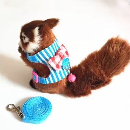 Vestiti per piccoli animali