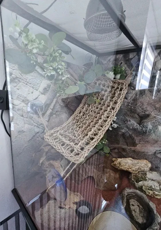 1PC Drago Barbuo Amaca Rettile Lettino per Camaleonte Lucertole Gecko Serpenti Lguana Rettili Geckos Erba Cuscino Pet Letto Altalena