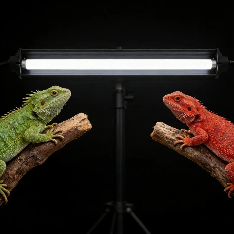 Kit Professionale con Lampada UVB per Rettili e Supporto