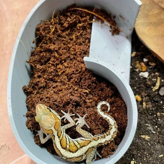 Scatola per rettili animali con ricce decorazioni, geco rana serpente, geco con stampa leopardata, lucertola e altre grotte di animali