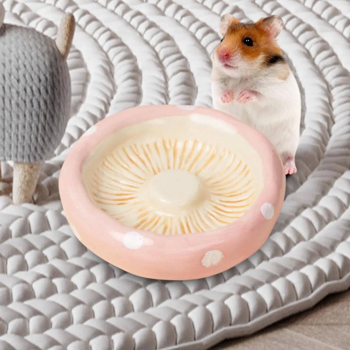 Keramikset in Maisform für Hamster.