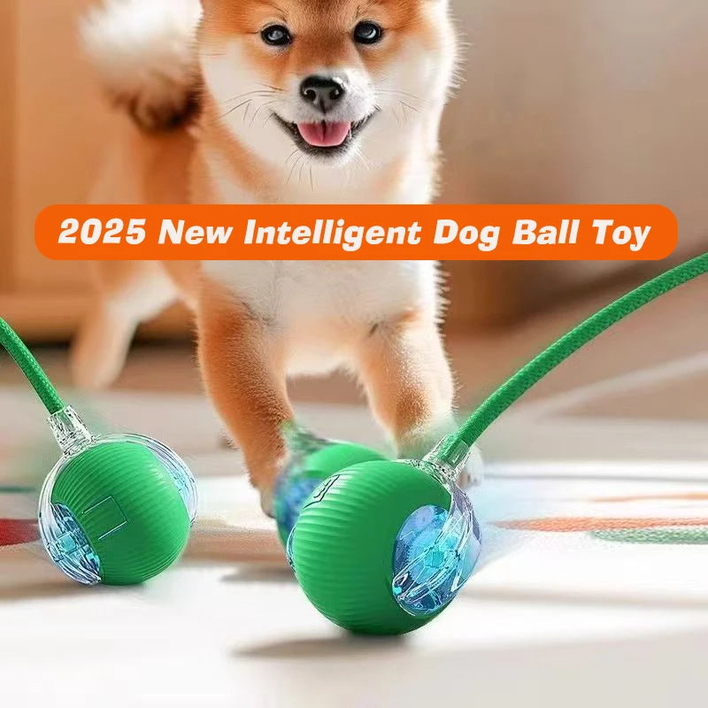 Neues interaktives Hundespielzeug, wiederaufladbarer, selbstrollender Hundeball, intelligentes, interaktives Welpenspielzeug, intelligentes Hundeballspielzeug