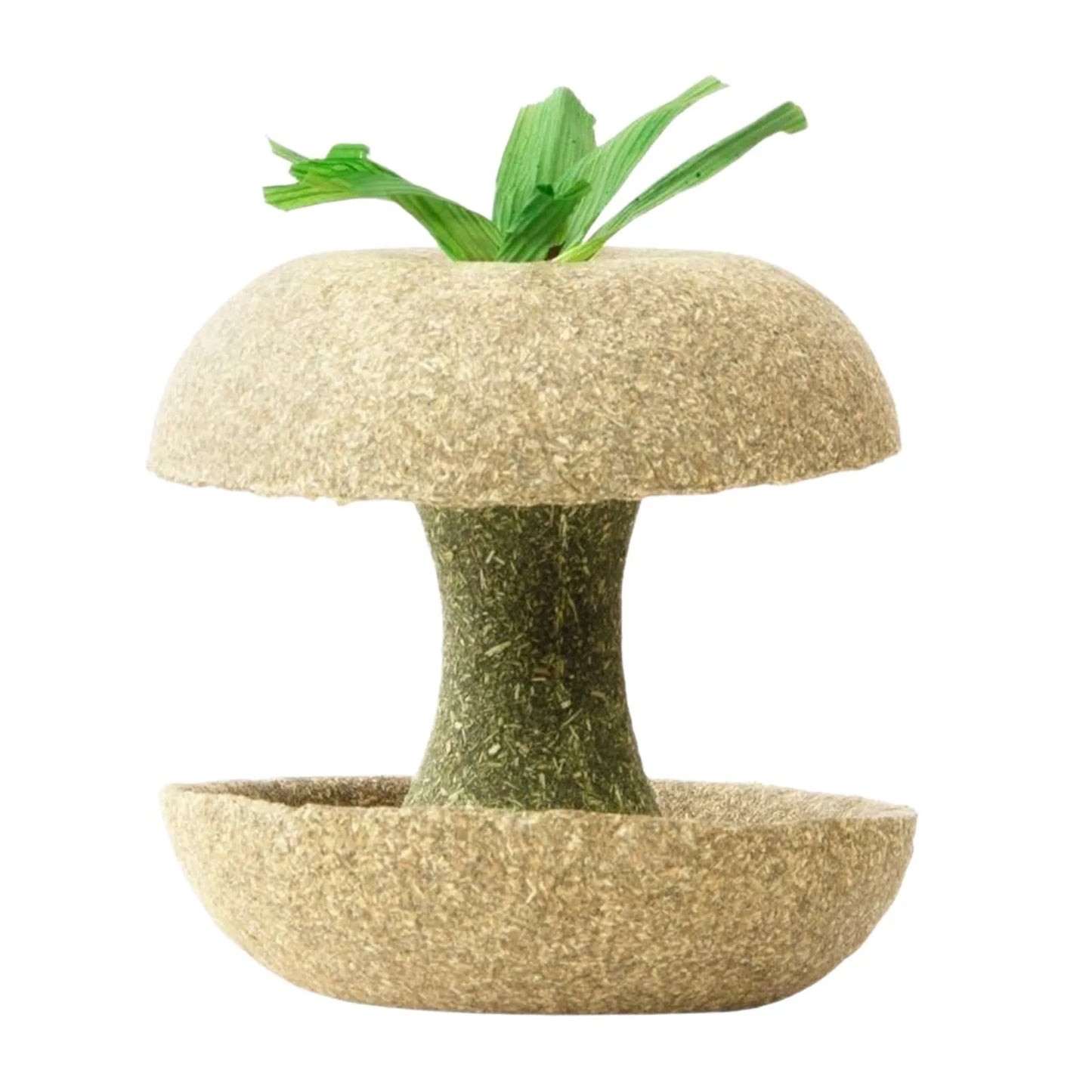 Biscotto per criceti