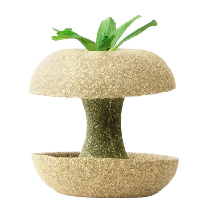 Biscotto per criceti