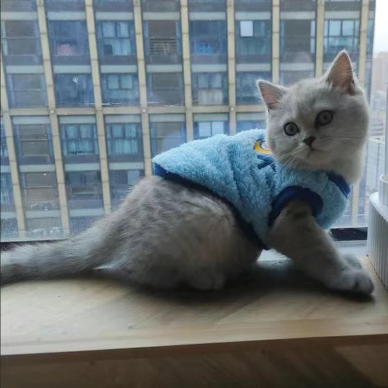 Maglioncino a tema, invernale gatti/cuccioli