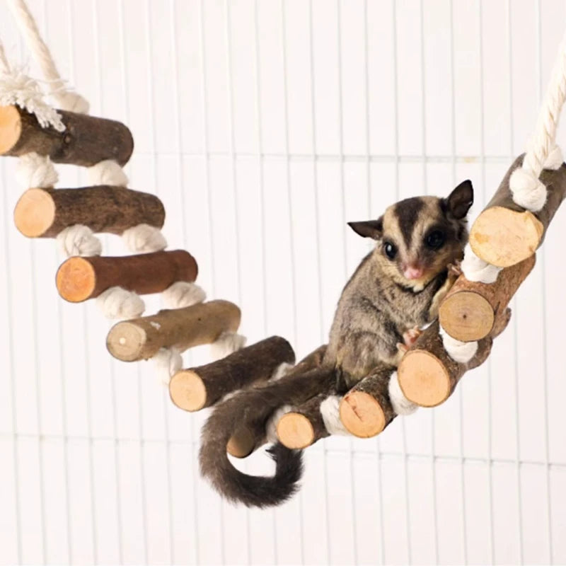 Gabbia per pappagalli Altalena Giocattolo Scaletta Giocattolo da masticare per uccelli da compagnia Filo di cotone appeso per uccello Noia Gabbia per rompere il cerchio sospeso Giocattolo