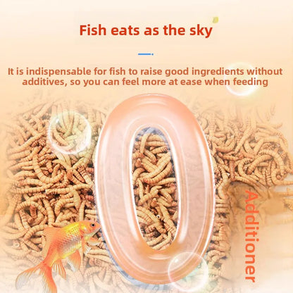 BESSN Premium - Arowana&Cichlid Fish Food