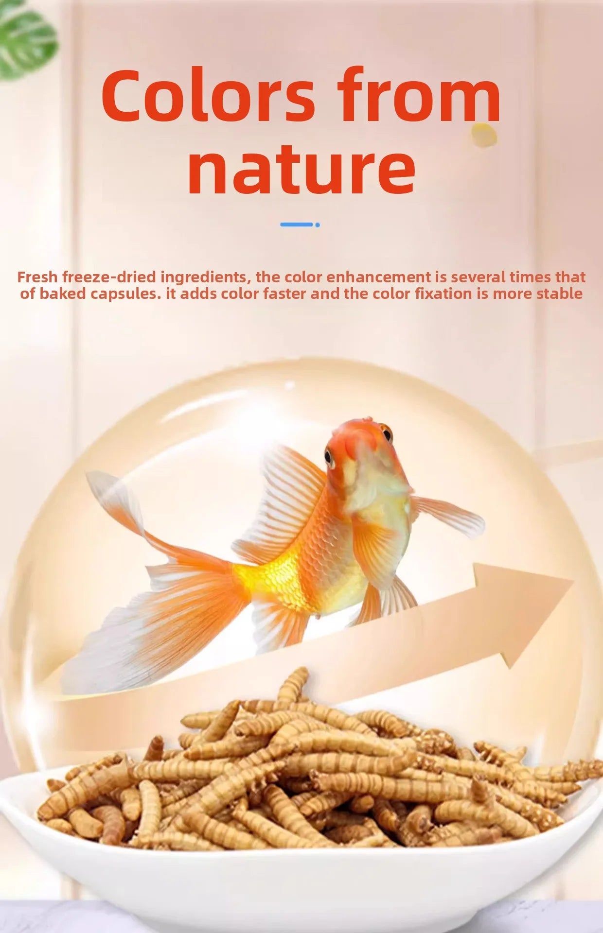 BESSN Premium - Arowana&Cichlid Fish Food