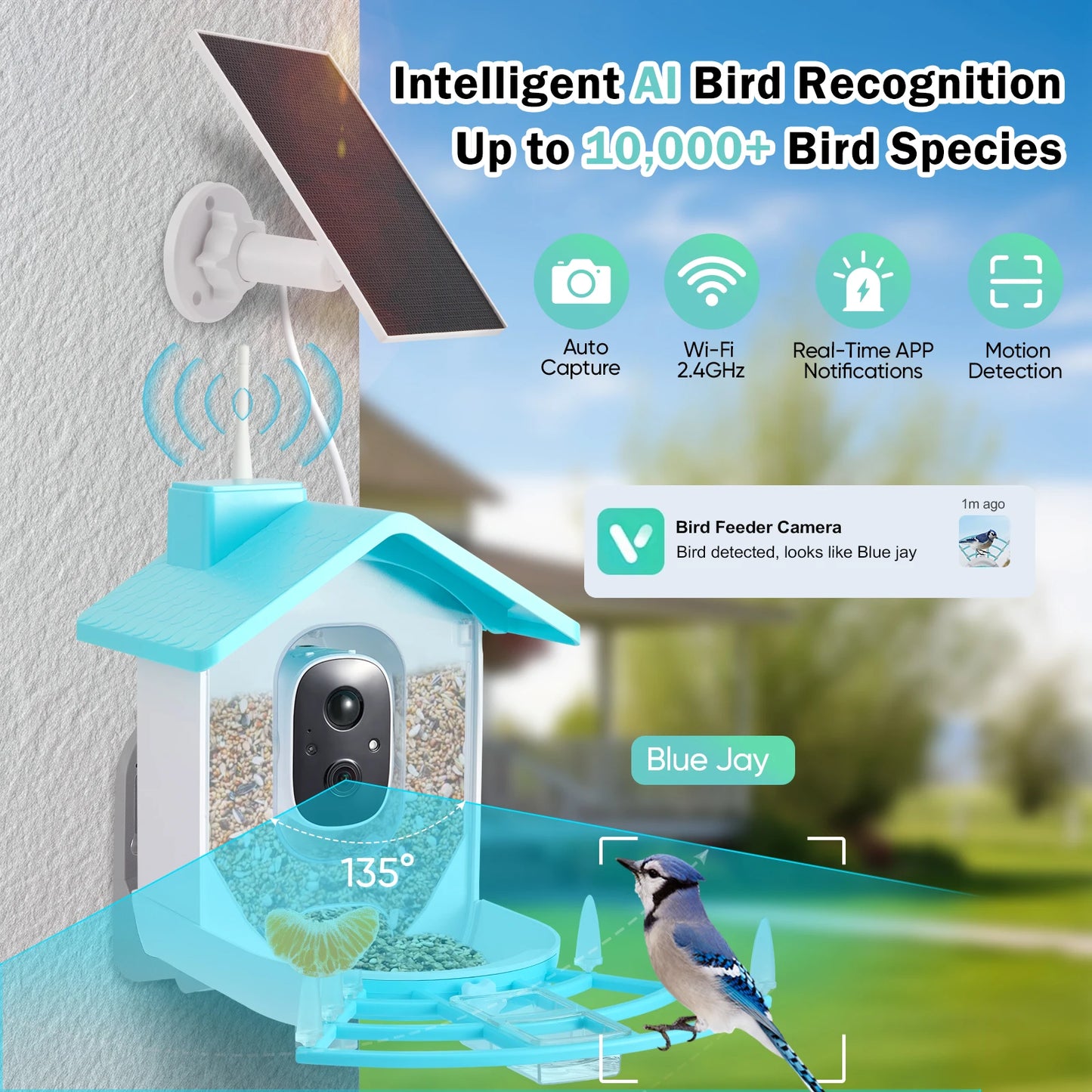 Mangiatoia per uccelli con fotocamera AI Identifica le specie degli uccelli Registrazione automatica delle video ad energia solare nel cortile Notifiche istantanee Amanti degli uccelli