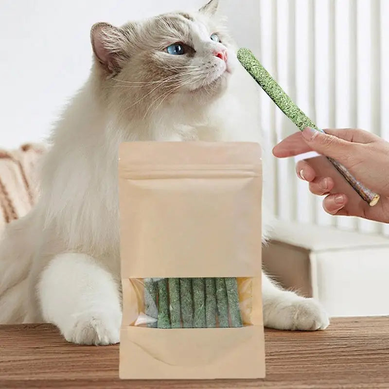 Naturale Matatabi Cat Stick Menta Catturato Morso Emozionato Aste Silvervine Per La Pulizia Dei Denti di Gatto Trattare Fornitura Per Animali Domestici Giocattoli Per Gatti