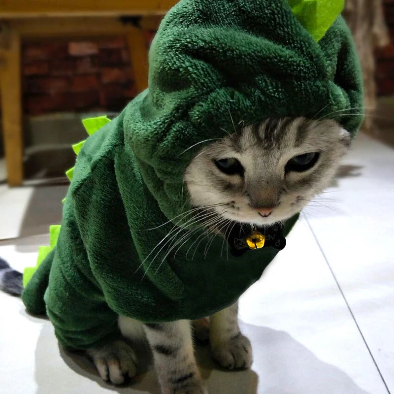 Costumi animalier in pile