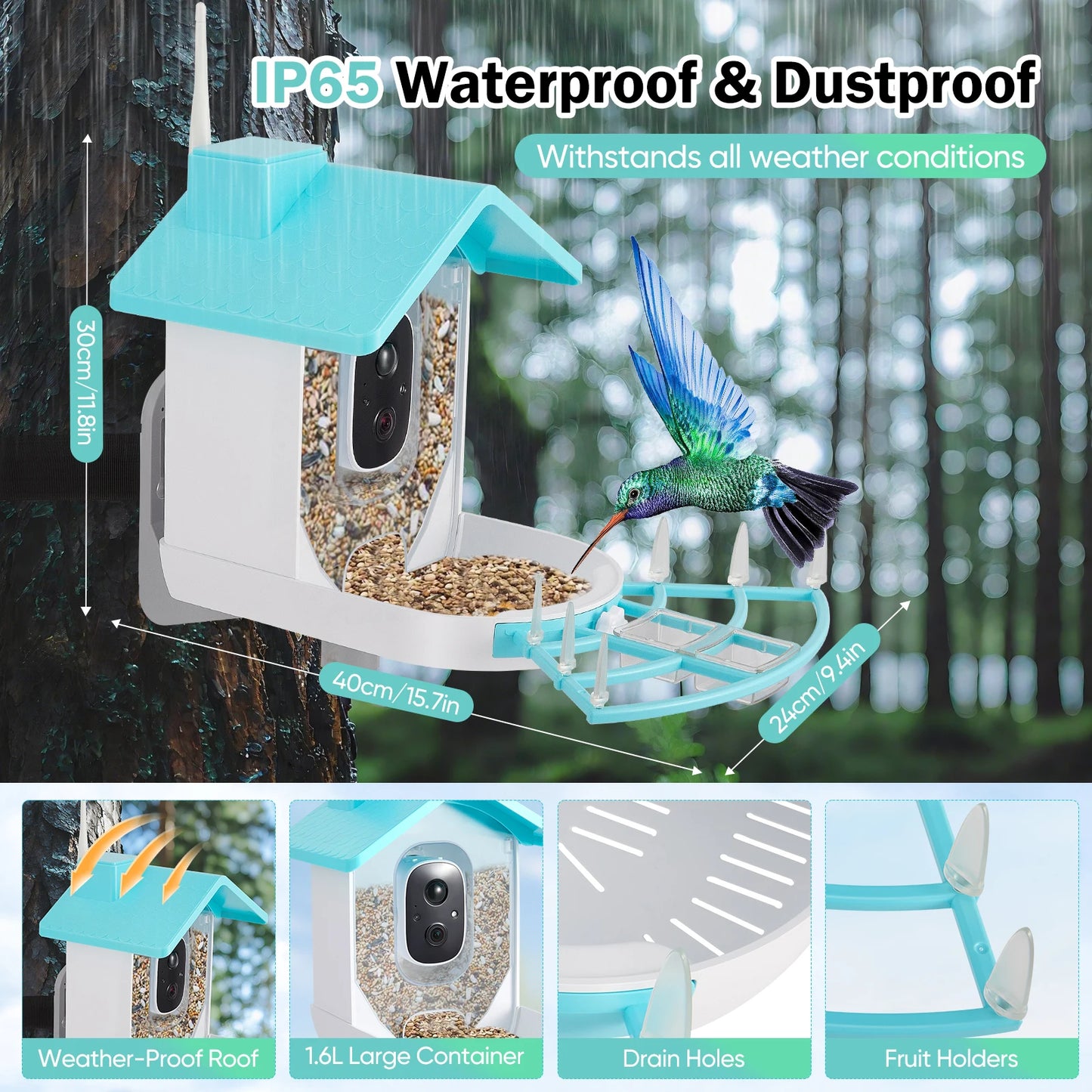 Mangiatoia per uccelli con fotocamera AI Identifica le specie degli uccelli Registrazione automatica delle video ad energia solare nel cortile Notifiche istantanee Amanti degli uccelli