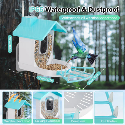 Mangiatoia per uccelli con fotocamera AI Identifica le specie degli uccelli Registrazione automatica delle video ad energia solare nel cortile Notifiche istantanee Amanti degli uccelli
