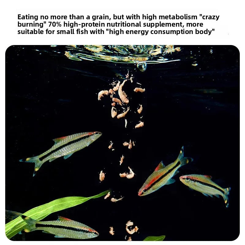 Cibo secco pesci e tartarughe - Krill & Gamberetti