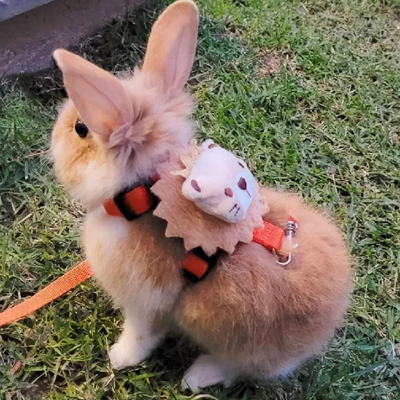 Imbracatura e guinzaglio piccoli animali