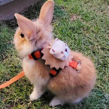 Imbracatura e guinzaglio piccoli animali