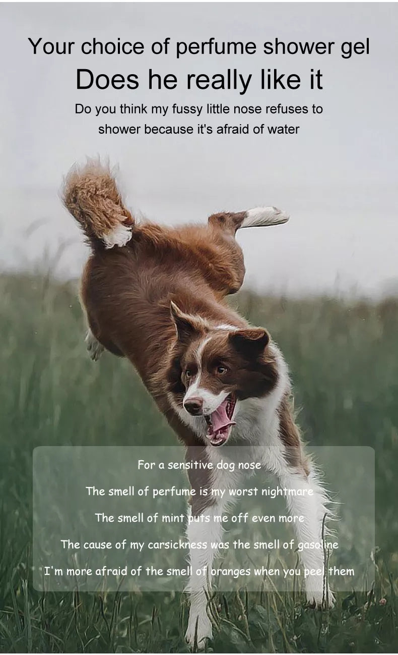 Haustier-Badeshampoo, trockene Haut für Hunde, Anti-Juckreiz, Flohschutz, Duschgel, Haustier-Dusche, Zeckenschutz, Hundehaarpflege, Reinigung, Körperwaschseife, Zubehör