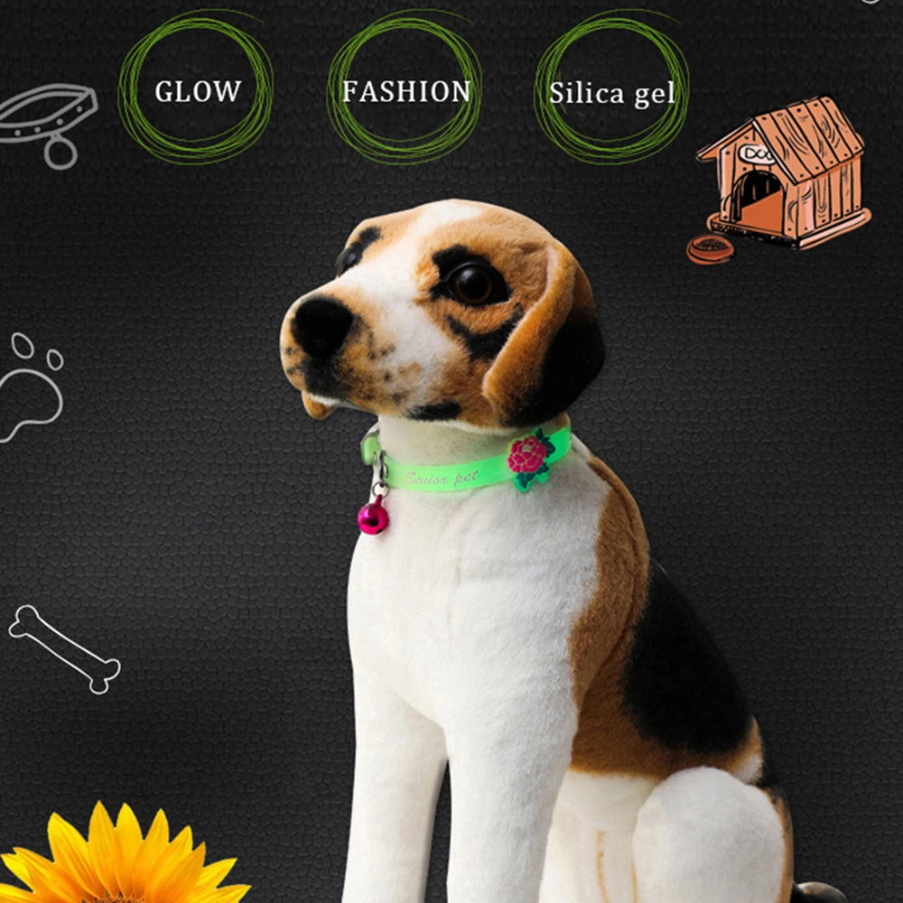 Collari luminosi per animali domestici