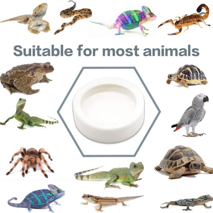 Reptilien Wasserschale Futternapf Anti-Flucht Keramik Futterstation für Eidechsen Einsiedlerkrebse Geckos Chamäleons Kornnattern Bartagamen Zubehör