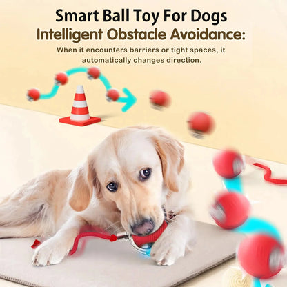 Neues interaktives Hundespielzeug, wiederaufladbarer, selbstrollender Hundeball, intelligentes, interaktives Welpenspielzeug, intelligentes Hundeballspielzeug