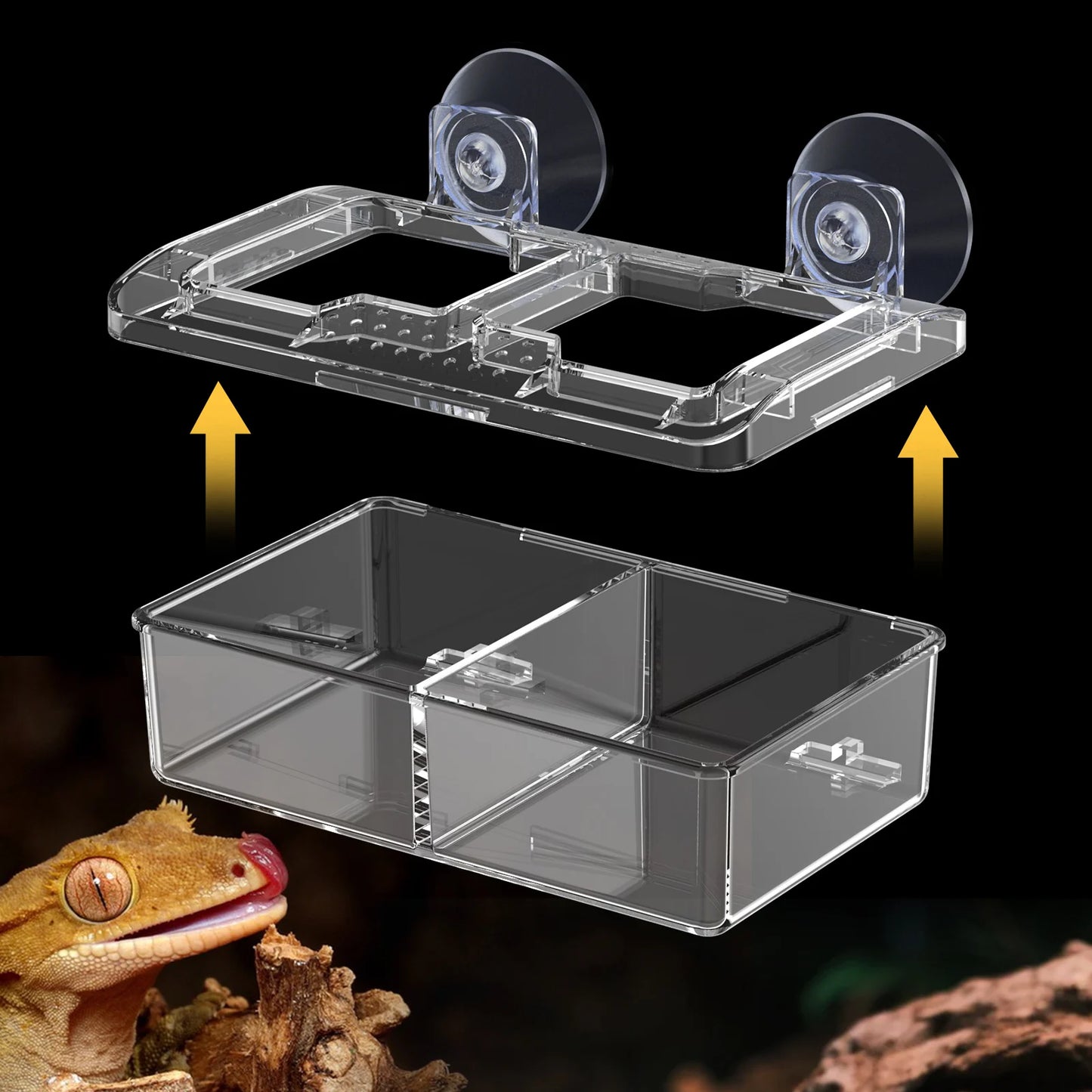 Reptilien-Wasserfutternapf Wurmfutternapf Keramik-Haustiernapf Ausbruchsichere Mini-Reptilien-Wurmschale für Bartagamen Eidechsen