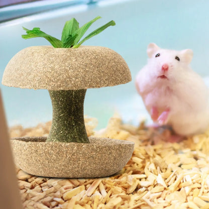 Biscotto per criceti