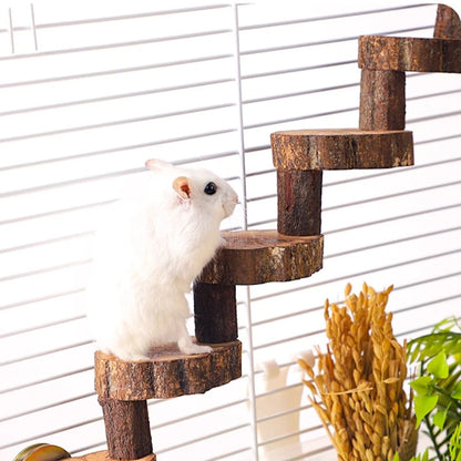 Gabbia per pappagalli Altalena Giocattolo Scaletta Giocattolo da masticare per uccelli da compagnia Filo di cotone appeso per uccello Noia Gabbia per rompere il cerchio sospeso Giocattolo