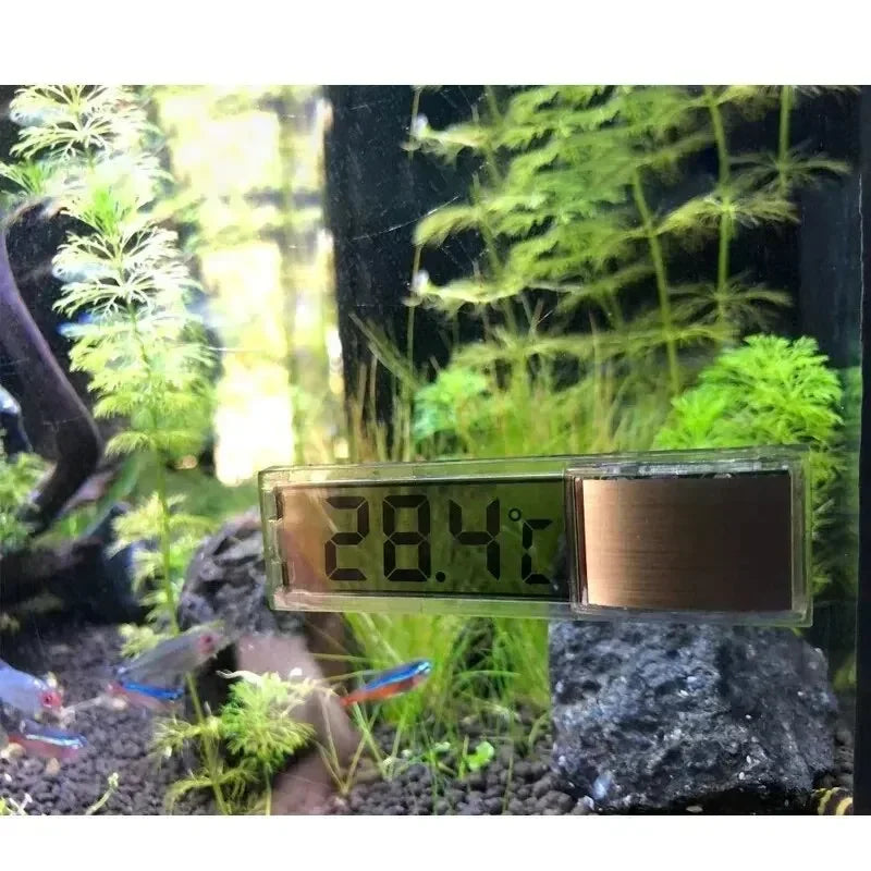 1 pz termometro per acquario elettronico LCD digitale misurazione della temperatura dell'acquario misuratore di temperatura dell'acquario accessori per acquari