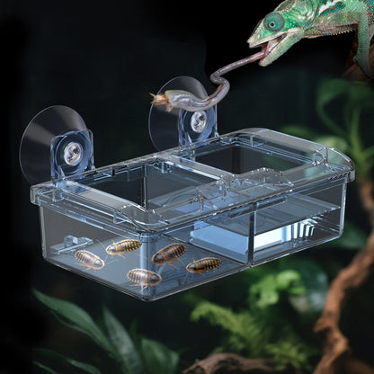 Reptilien-Wasserfutternapf Wurmfutternapf Keramik-Haustiernapf Ausbruchsichere Mini-Reptilien-Wurmschale für Bartagamen Eidechsen