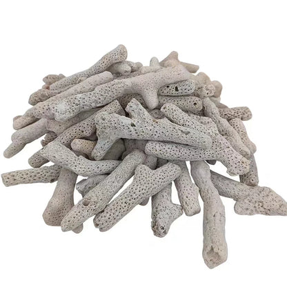 Filtro per acquario con osso di corallo di barriera corallina naturale di alta qualità materiale biologico medio sabbie di corallo per la filtrazione del serbatoio di pesce fisso PH