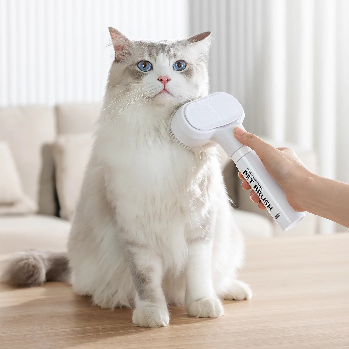 Der Hund verwendet Reinigungsmousse und Tierpflegemittel, um schwebende Haarflecken zu entfernen. Reinigen Sie die Sterilisation ohne Spülen. Shampoo. Deodorant.