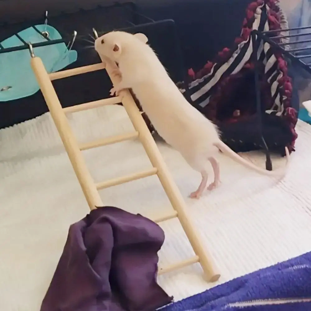 1 Stück Vogelspielzeug Holzleitern Schaukel Kratzbaum Kletterstange 3/4/5/6 Leiter Vogelkäfig Hamster Papagei Spielzeug Hängende Haustierbedarf