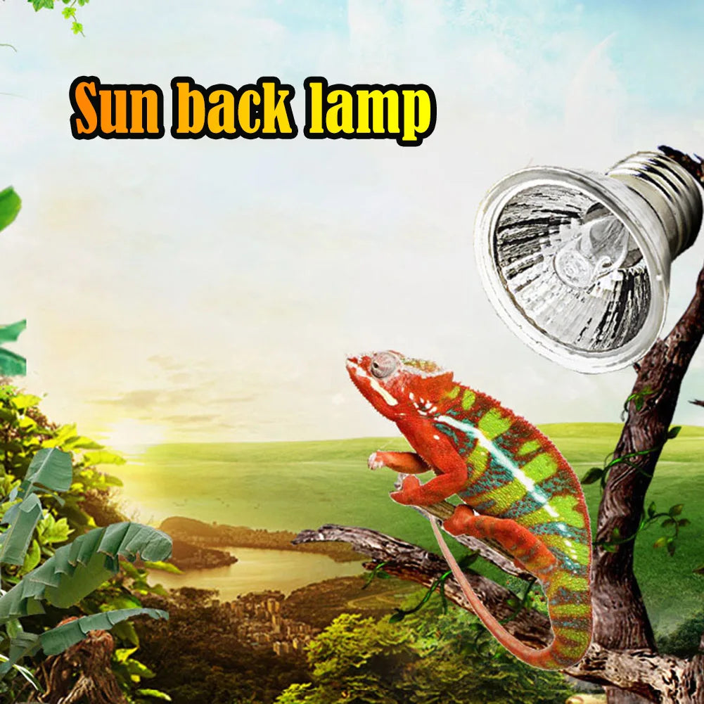 5/10/15/20 Stk. 25W Reptilien-Heizlampe Vollspektrum UV-Lampe für Schildkröten Schlangen Eidechsen Amphibien Temperaturregelung