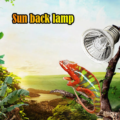 5/10/15/20 Stk. 25W Reptilien-Heizlampe Vollspektrum UV-Lampe für Schildkröten Schlangen Eidechsen Amphibien Temperaturregelung