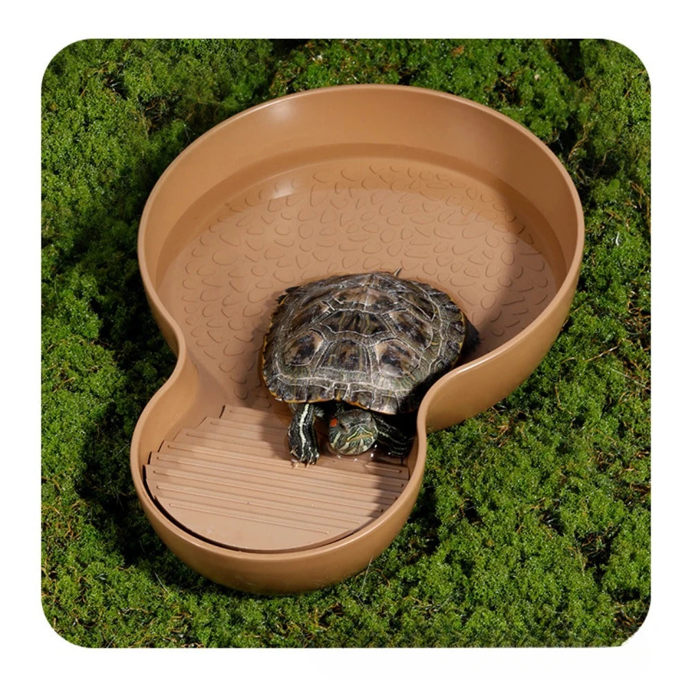 Pond con feeder per tartarughe d'acqua