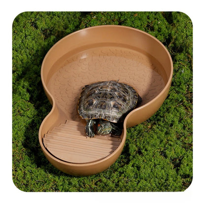 Pond con feeder per tartarughe d'acqua