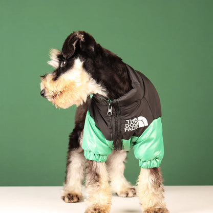 Vestiti invernali per cani di piccola taglia e media