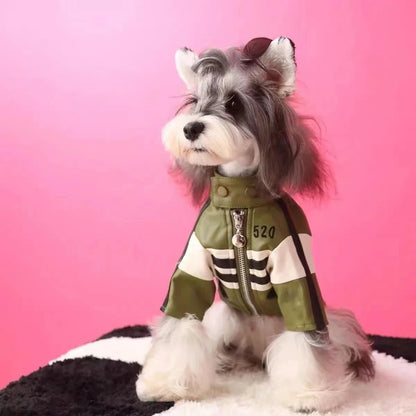 Giubbottino antivento invernale per cani