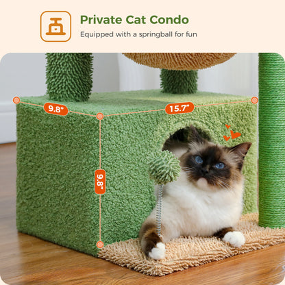 Albero per gatti cactus 4 in 1